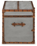 Amsel Storage Trunk