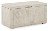 Ryker Storage Trunk