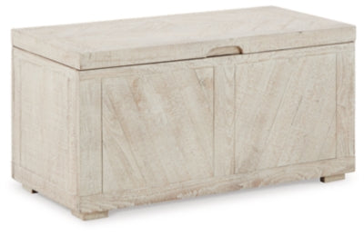 Ryker Storage Trunk