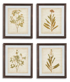 Dyani Wall Art (Set of 4)