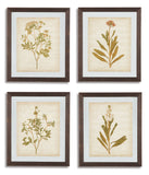 Dyani Wall Art (Set of 4)