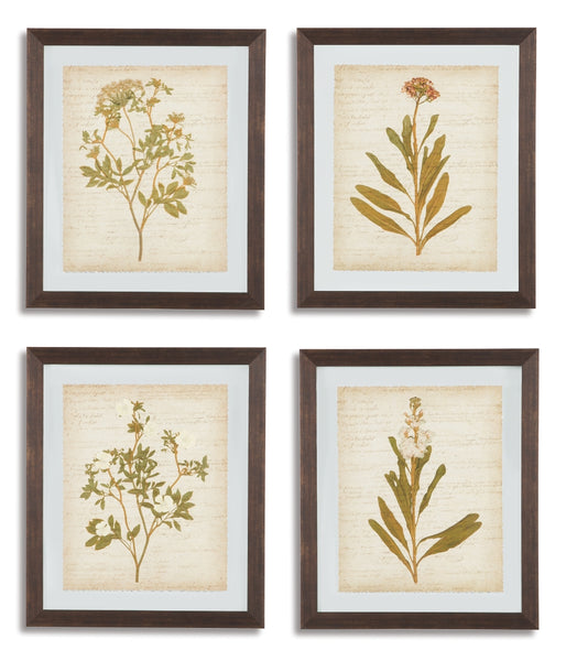 Dyani Wall Art (Set of 4)