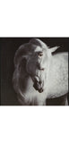 Archerwick Wall Art