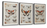 Jossletts Wall Art Set (3/CN)