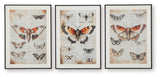 Jossletts Wall Art Set (3/CN)