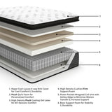 Ultra Luxury PT with Latex Queen Mattress