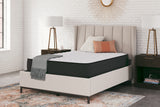 Limited Edition Firm Queen Mattress