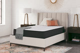 Limited Edition Firm Queen Mattress