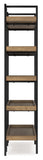 Montia 76 Bookcase