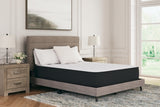 Limited Edition Plush Twin XL Mattress