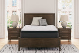 Limited Edition PT King Mattress