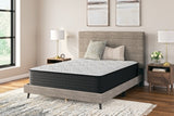 Palisades Plush Queen Mattress