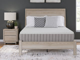 Terra Sleep Medium California King Mattress