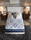 Mt Dana Firm Twin Mattress