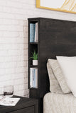 Toretto Queen Panel Bookcase Bed with Dresser